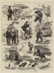Le tribolazioni di un pescatore di trote